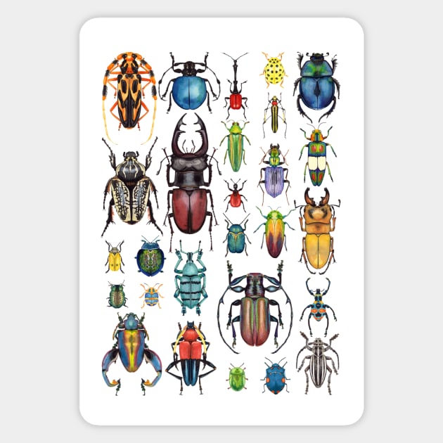 Beetle Collection Sticker by Oh Hokey Pokey